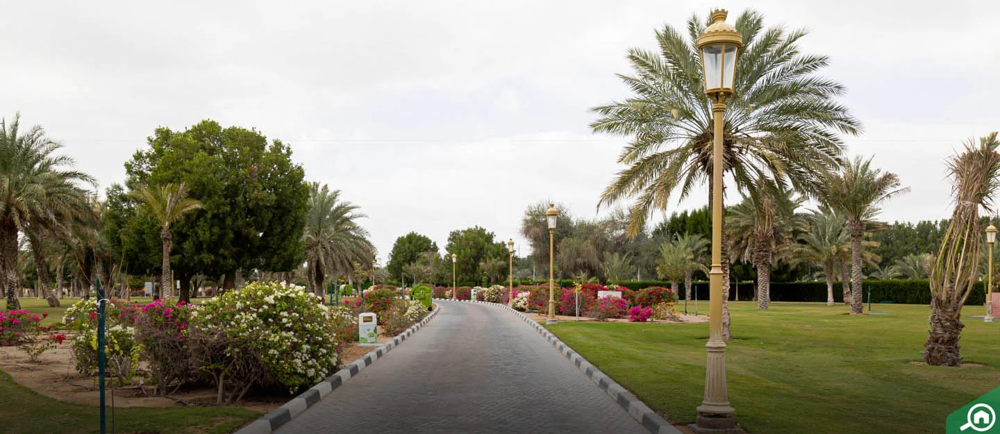 Sharjah National Park car rental